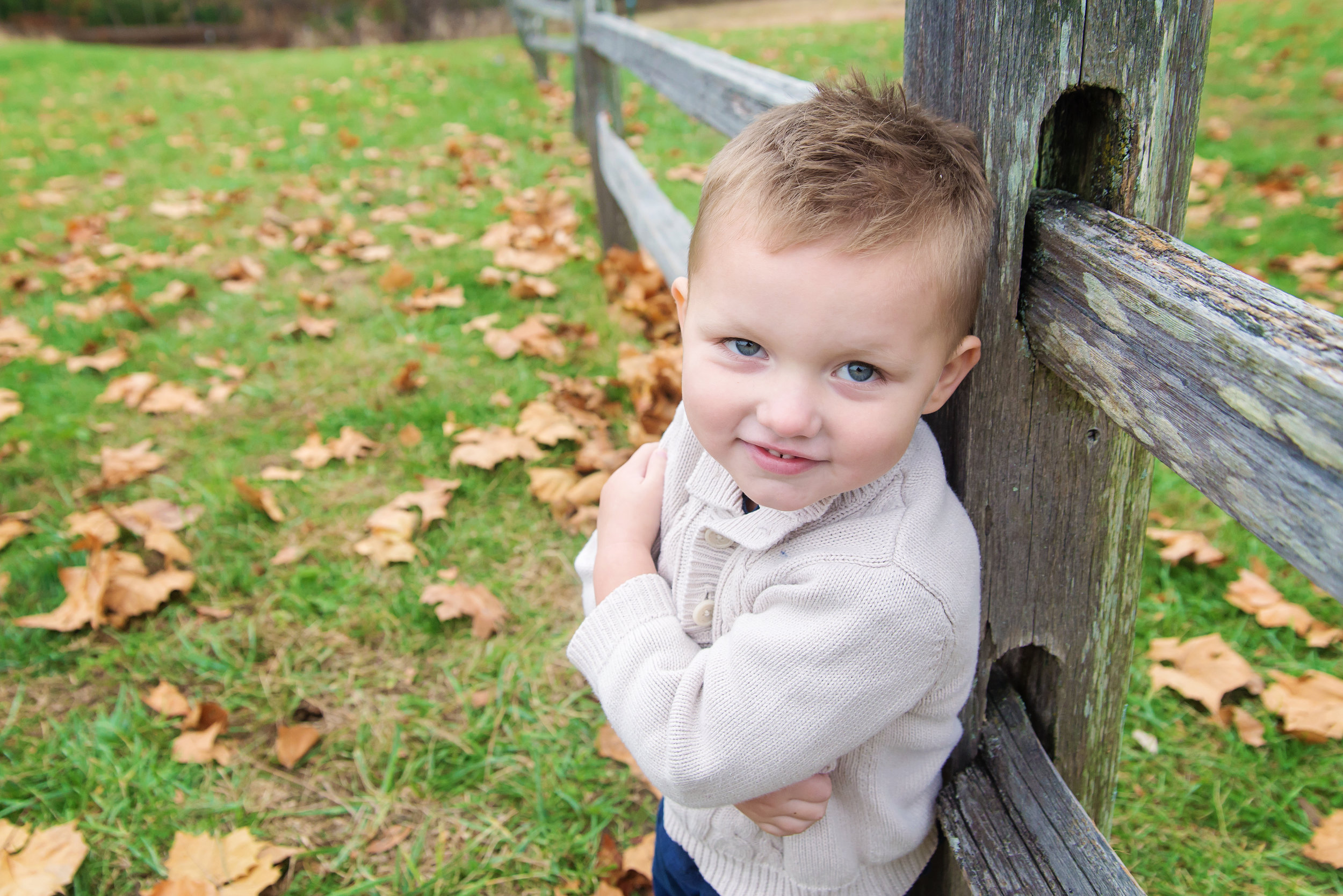 st-louis-fall-mini-sessions-2018-family-photographer-preschool-boy-arm-folded-leaning-on-wooden-fence.jpg