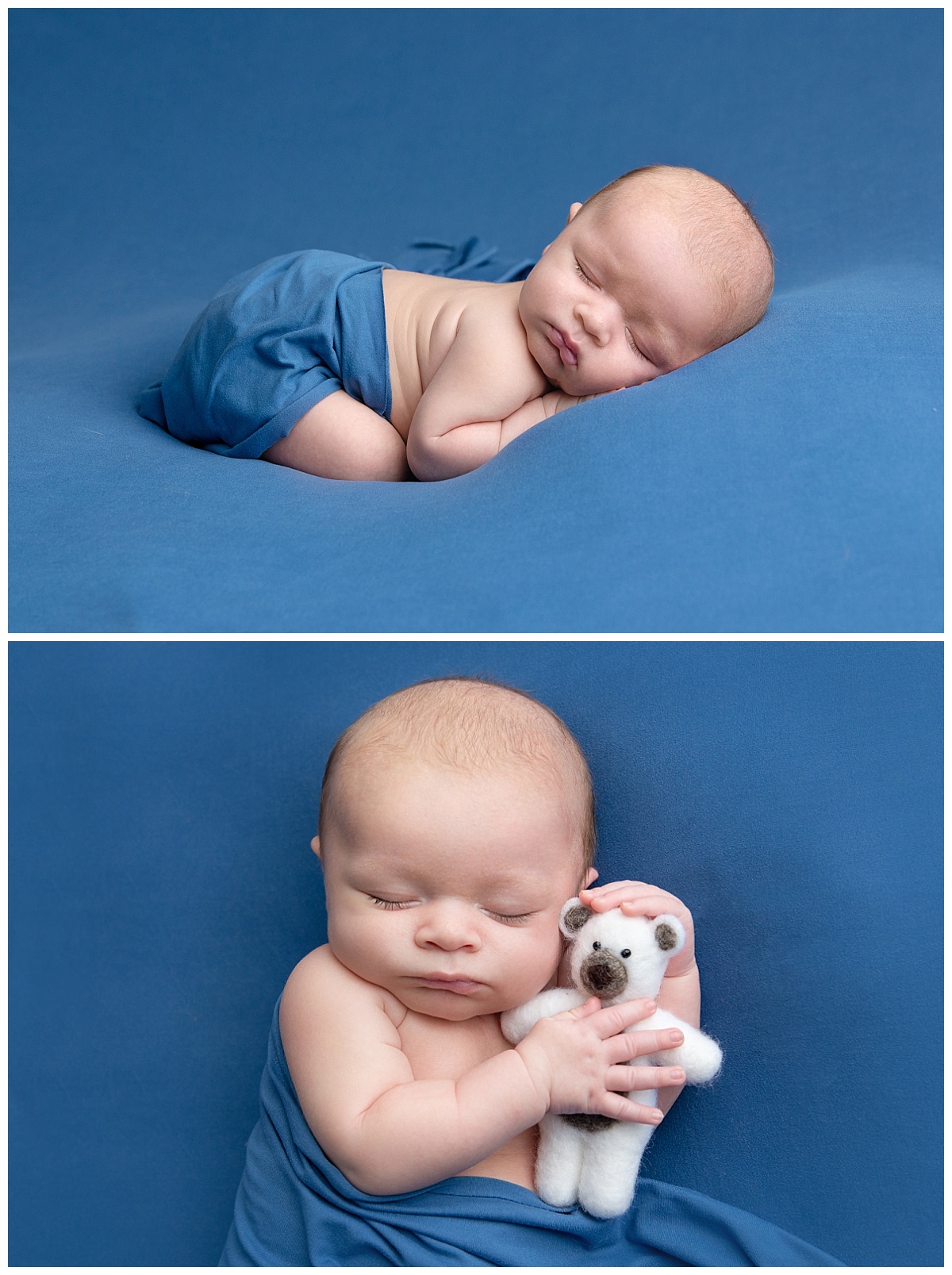 st-louis-newborn-photographer-baby-boy-on-bright-blue-backdrop-with-white-teddy-bear.jpg