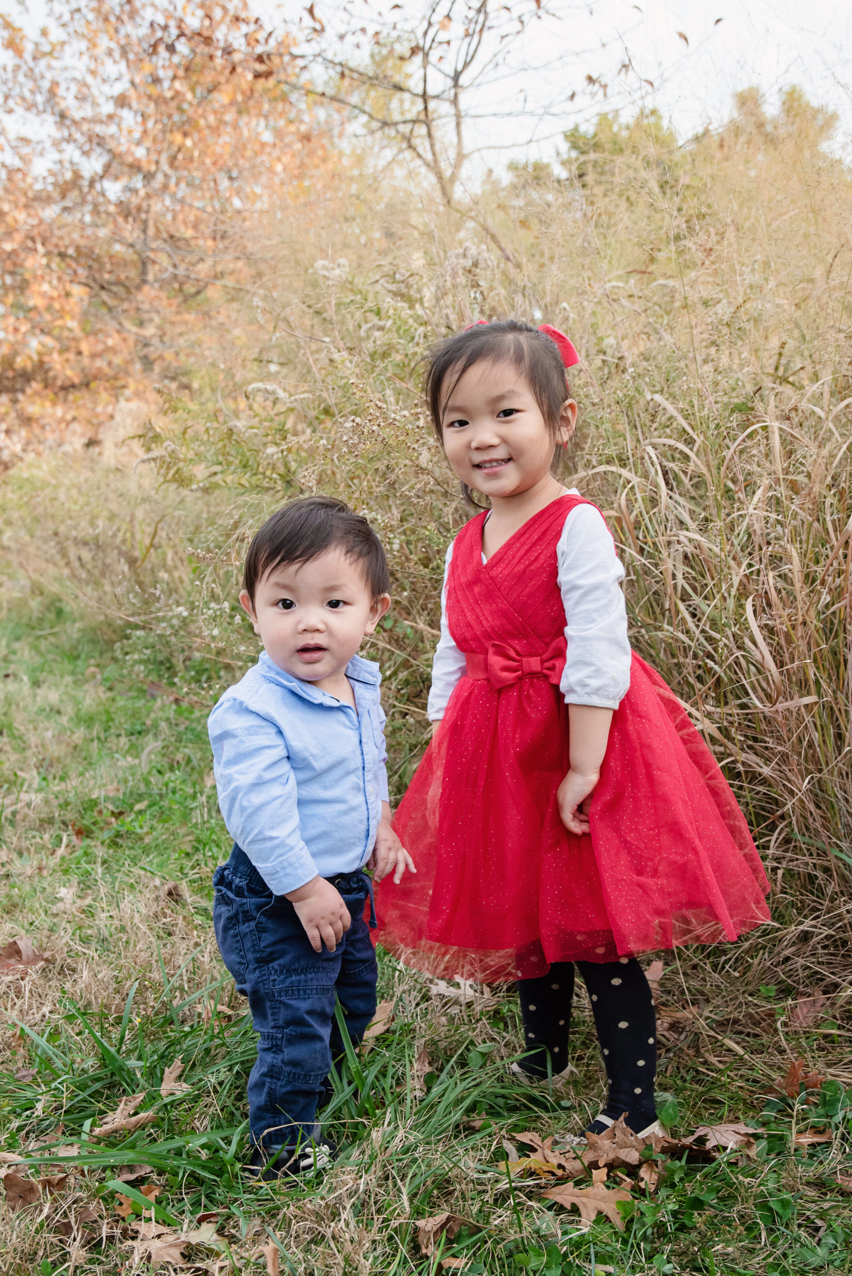st-louis-fall-mini-session-photogrpaher-brother-and-sister-standing-near-tall-grass-in-fall.jpg