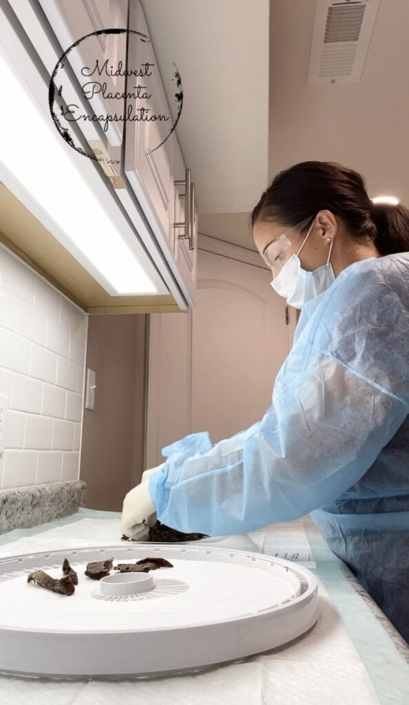 Woman wearing PPE preparing a placenta for placenta encapsulation