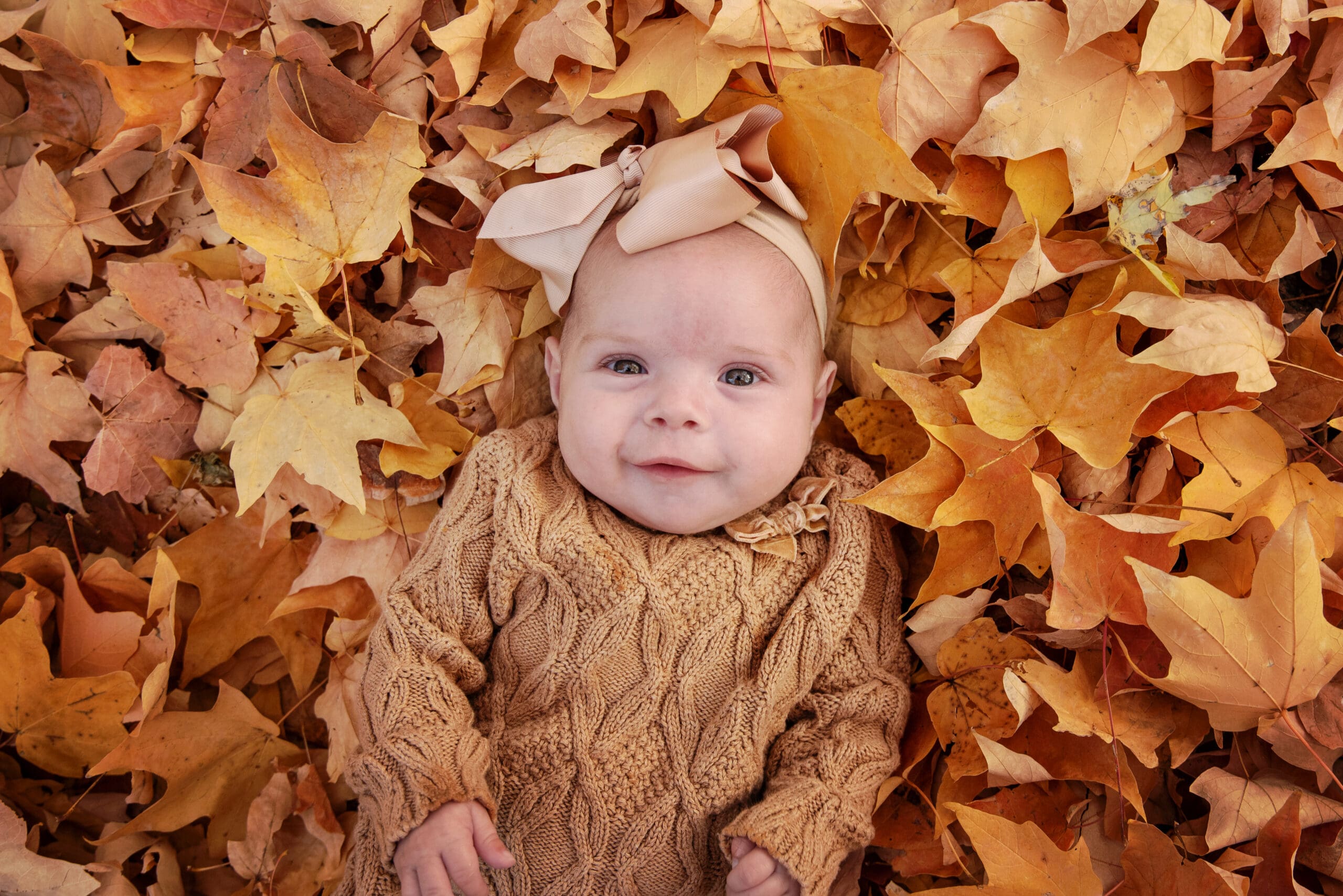 st-louis-newborn-photogrpaher-fall-mini-session-add-on
